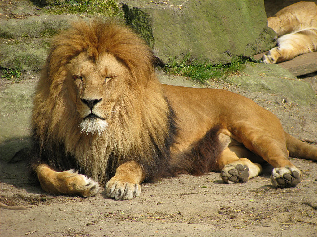 Zoo Münster