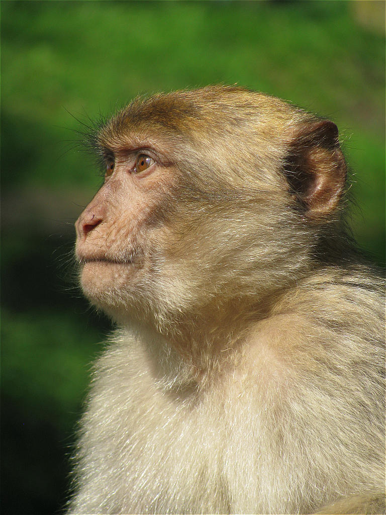 Zoo Rheine