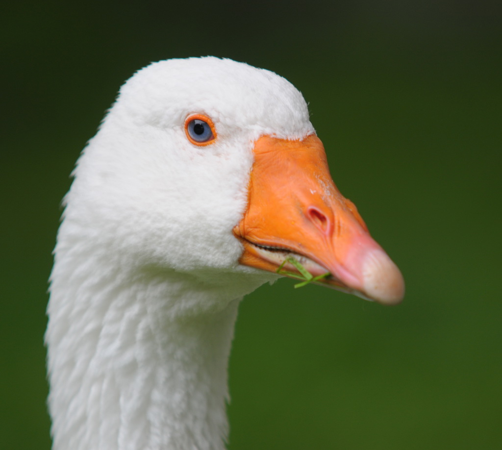 Zoo Wismar