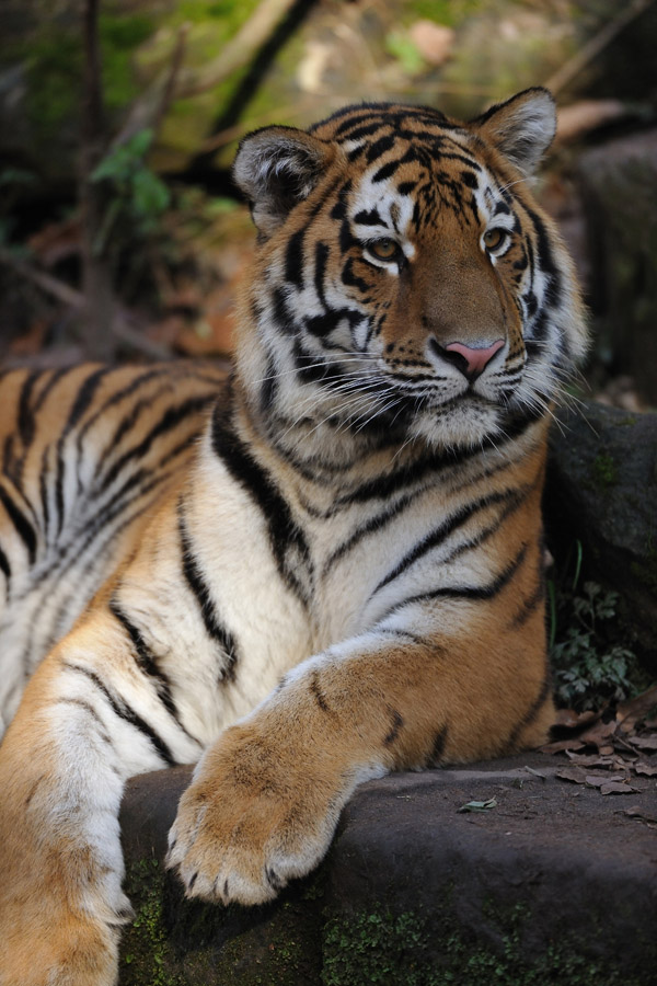 zoo16