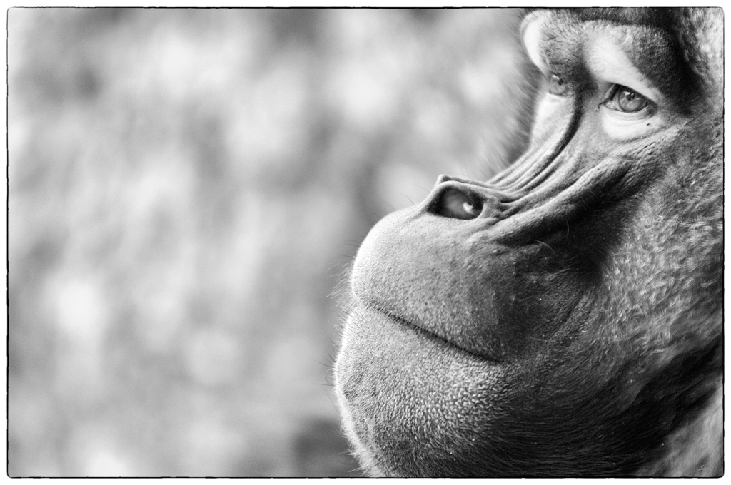 ZooDSC 0227