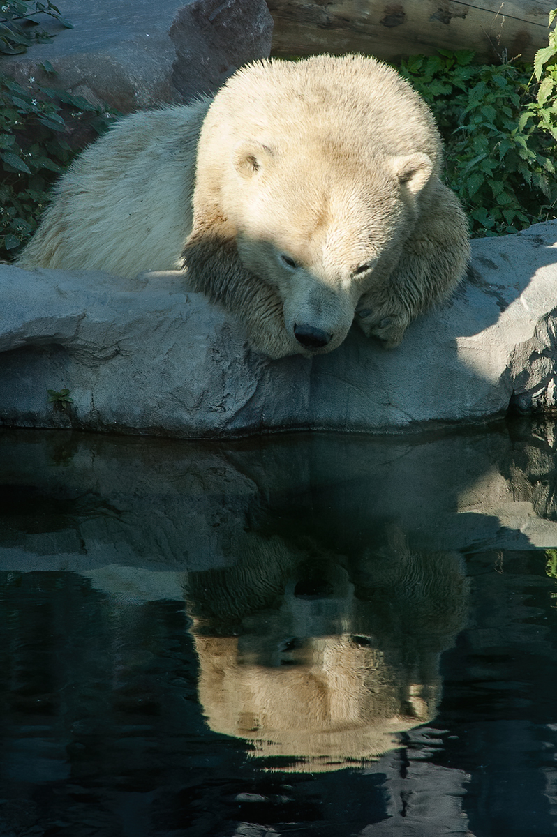 Zoom12-Bearbeitet.jpg