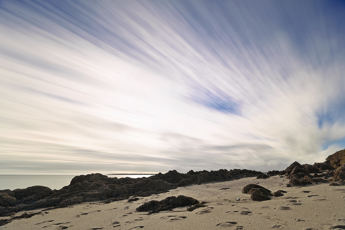 ZSD_0493_1_nff.JPG