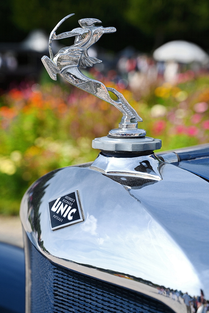 ZSD_8694_nff.JPG