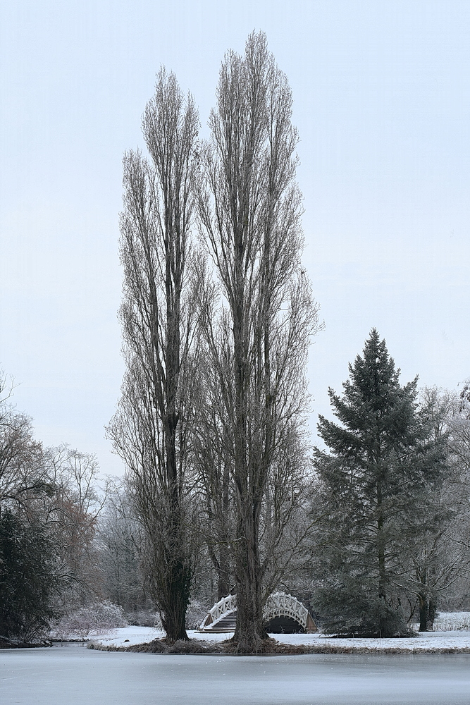 ZSE_1125_nff.JPG