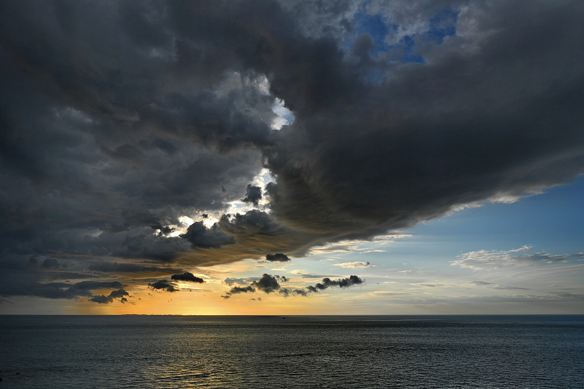 ZSF_2320_1_nff.JPG