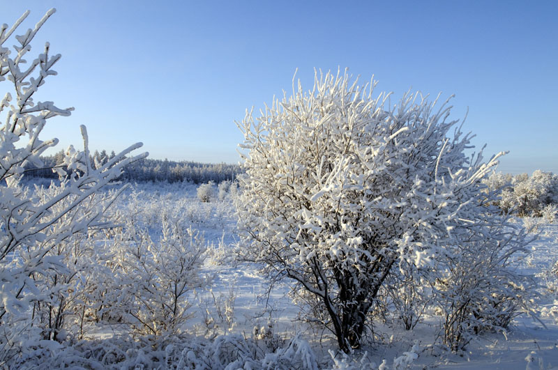 zu Eis erstarrte Landschaften auf dem Weg nach Oymyakon