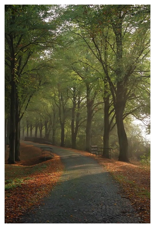 zu wenig Nebel I