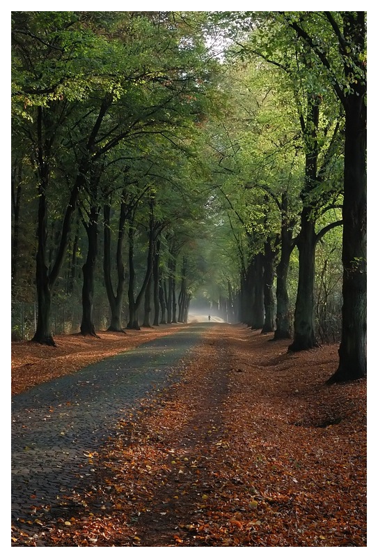 zu wenig Nebel II