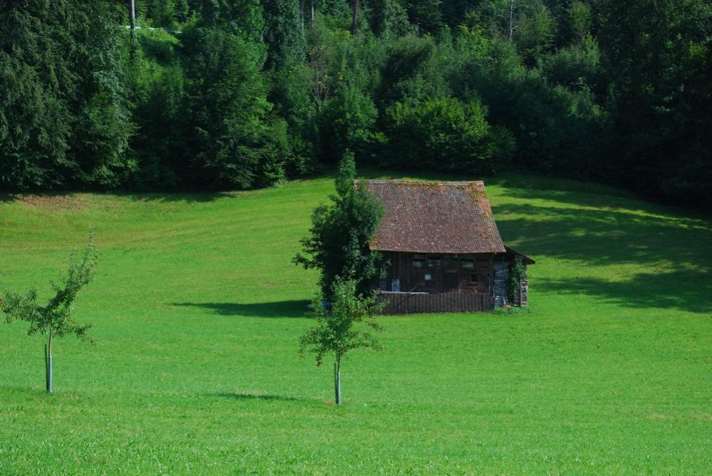 Zug 080109