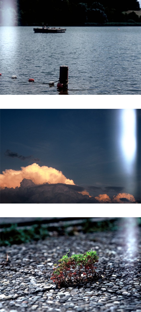 Zuviel Licht