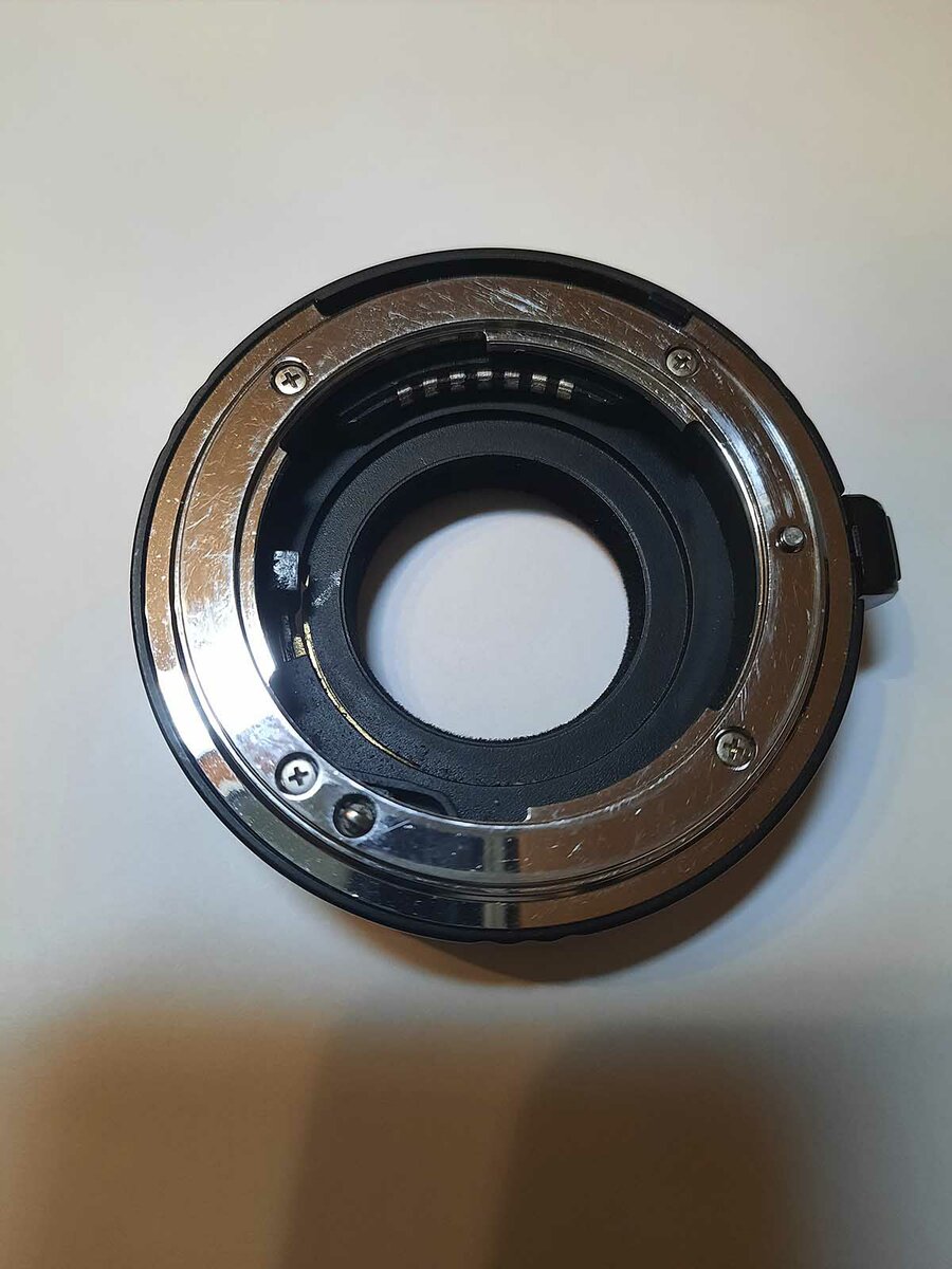 zw6.jpg