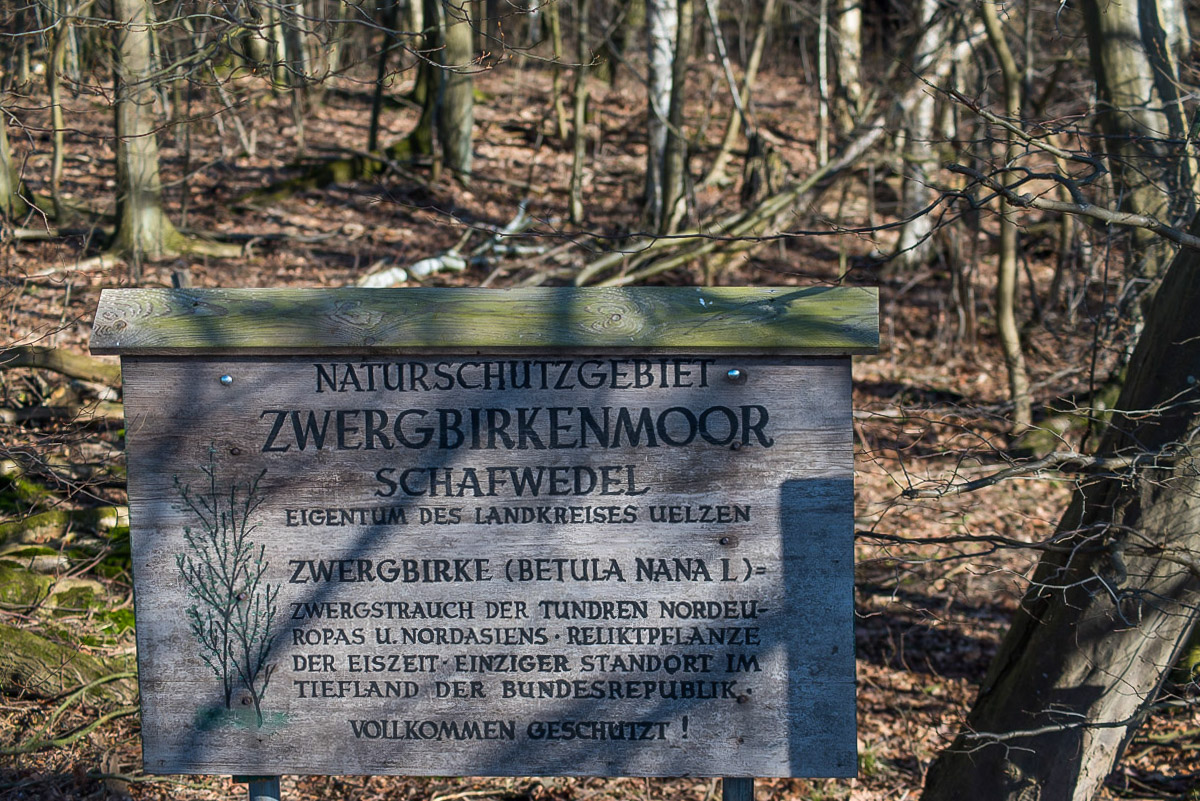 Zwergbirkenmoor (1 von 1).jpg