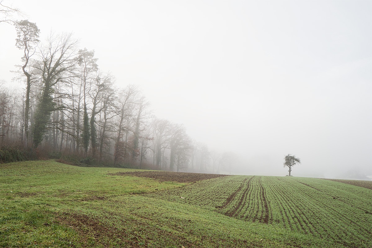 Zwingen_Q1000997_12.jpg