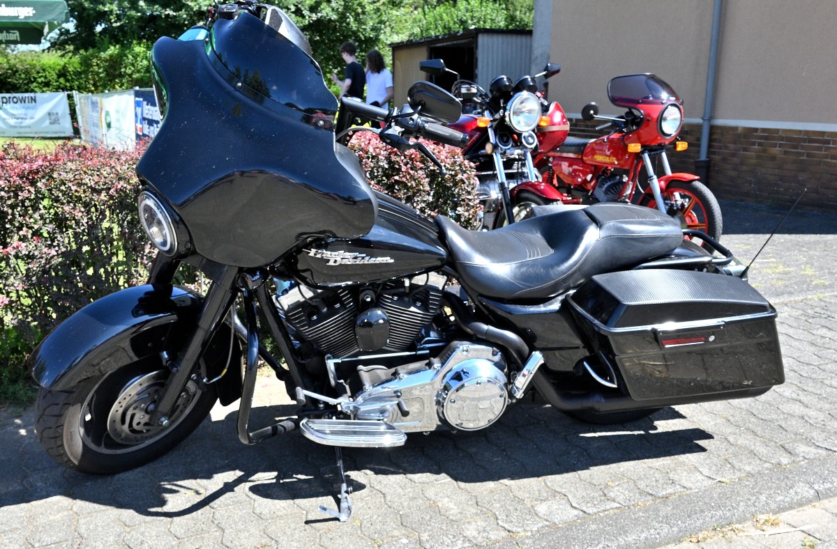 Zwr24-02.JPG