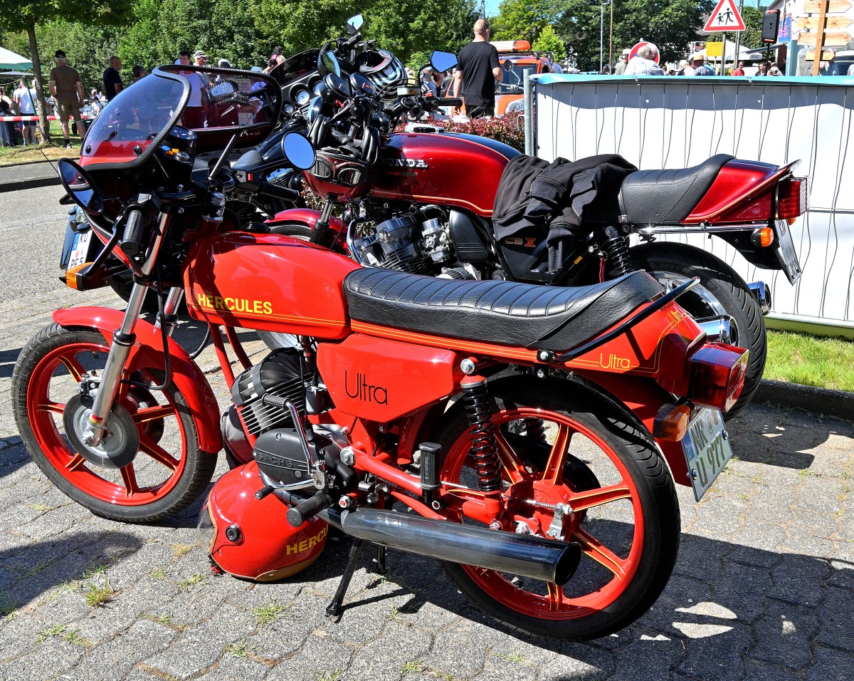 Zwr24-03.JPG
