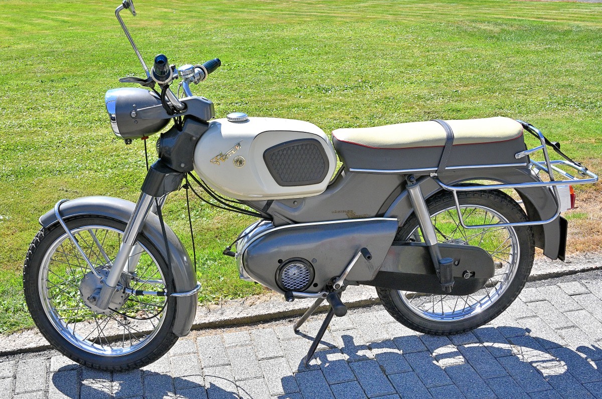 Zwr24-13.JPG
