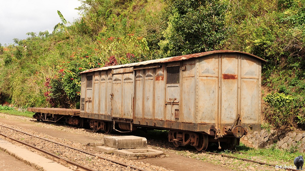 Das Bild zeigt einen grauen gedeckten Güterwagen und dahinter einen flachen Güterwagen. Die Wagen stehen auf einem Nebengeleis im Bahnhof vor einem Hand mit Büschen.