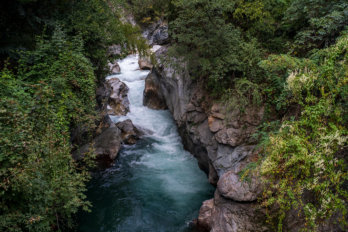 20210911_NZ7_3654NF.jpg