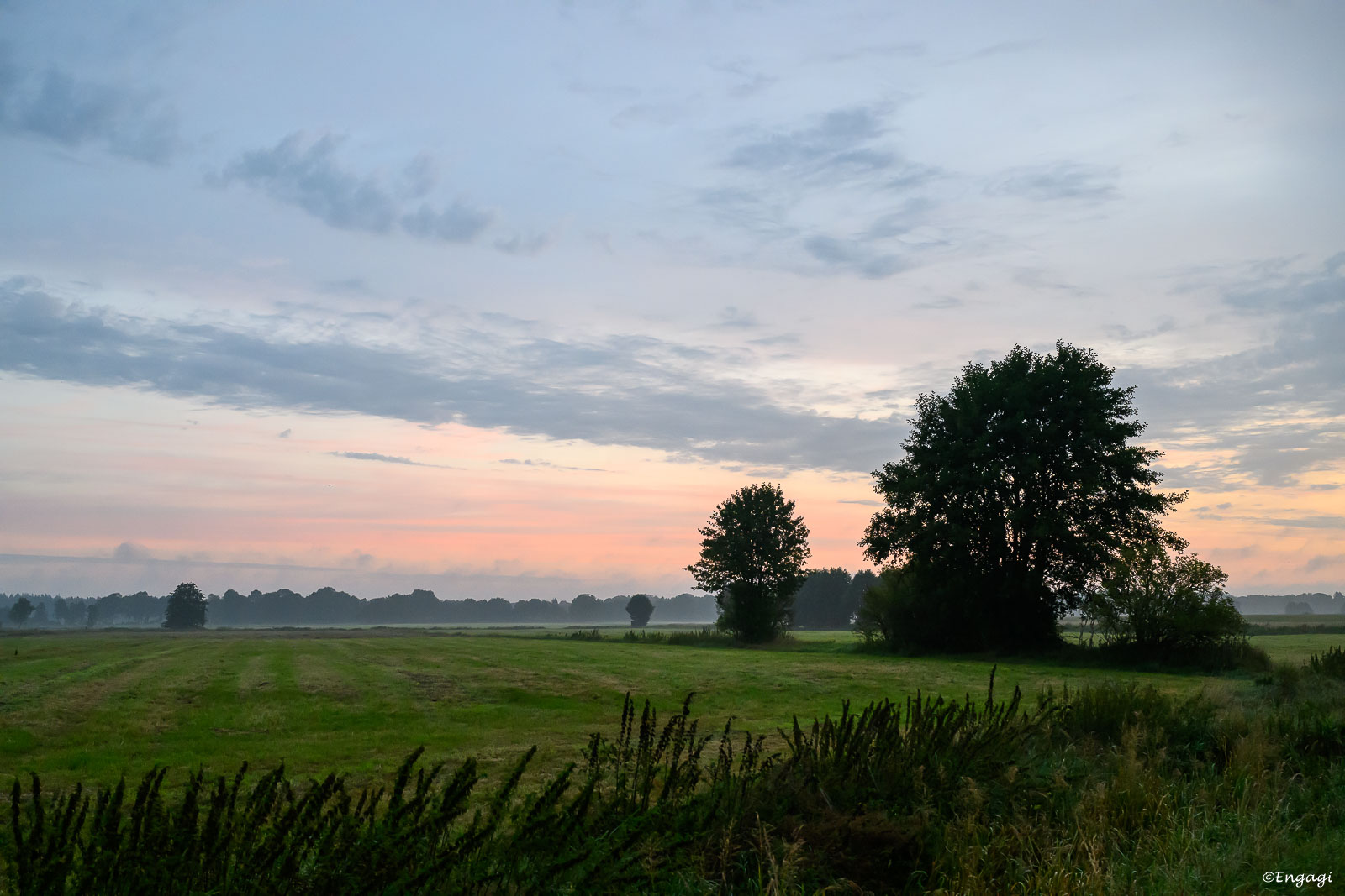 DSC_0460a.jpg
