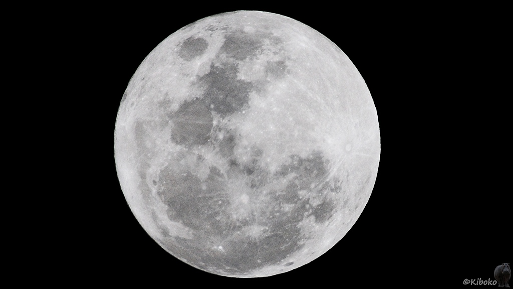 Vollmond am schwarzen Himmel.
