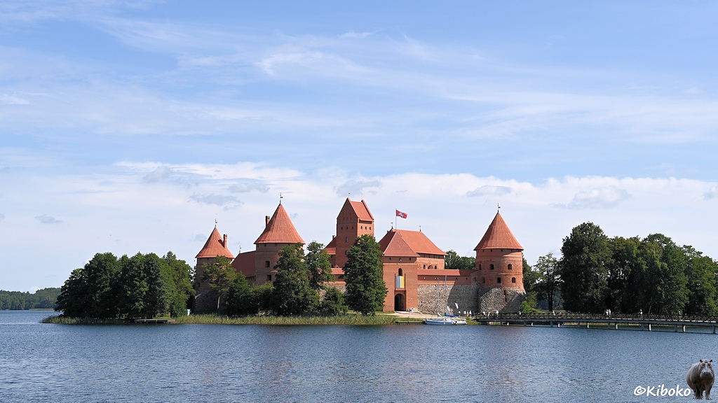 Das Bild zeigt eine Burg mit drei Rundtürmen und weiteren Türmen auf einer Insel in einem See. Im unteren Bereich sind die Mauern aus grauem Naturstein. Im oberen Bereich aus roten Ziegelsteinen.
