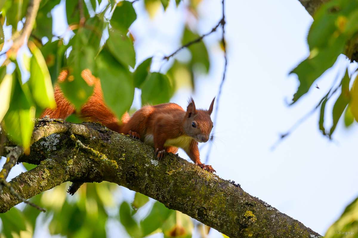 DSC_5449.jpg