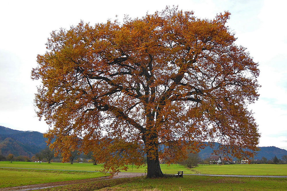 beste-2014-4.jpg