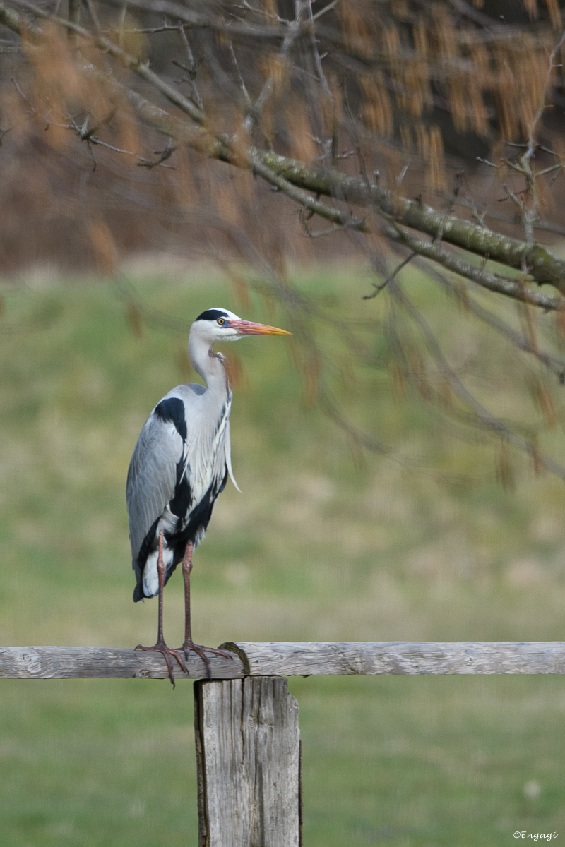 DSC_1579.jpg