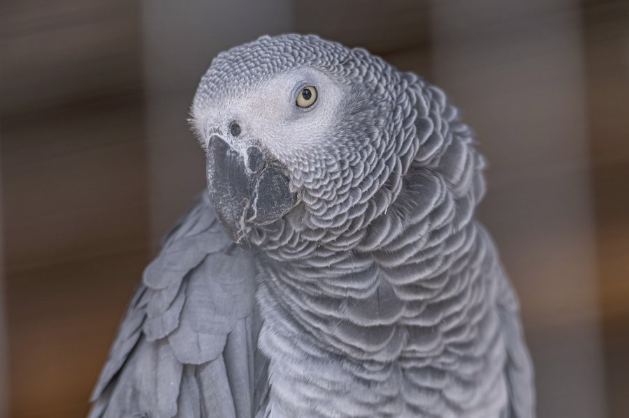 tierpark_haag23_57.jpg