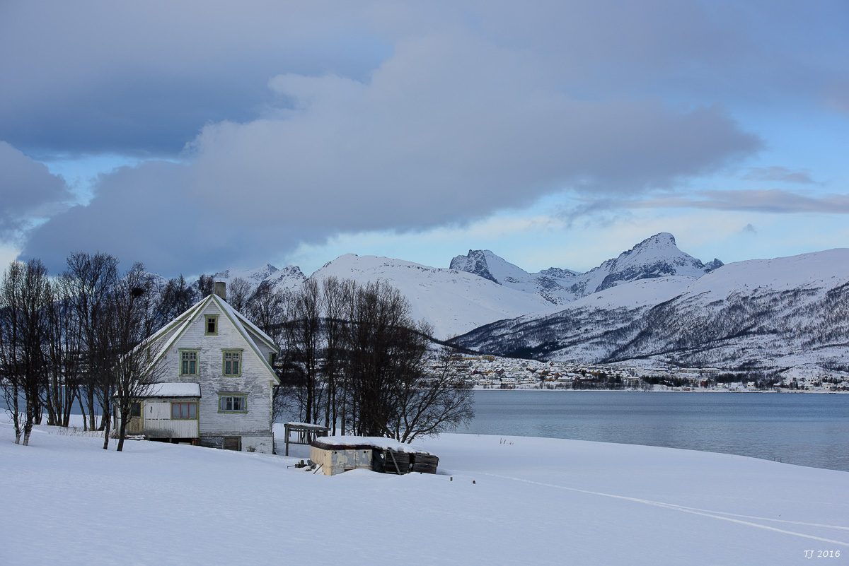 DSC_2465.jpg
