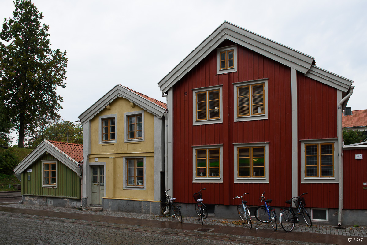 DSC_7697.jpg