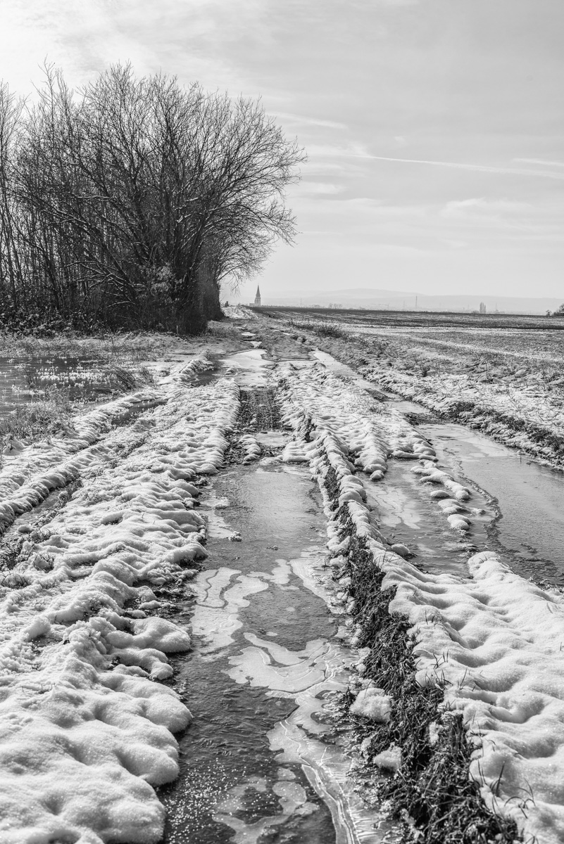 DSC_1965-Bearbeitet.jpg