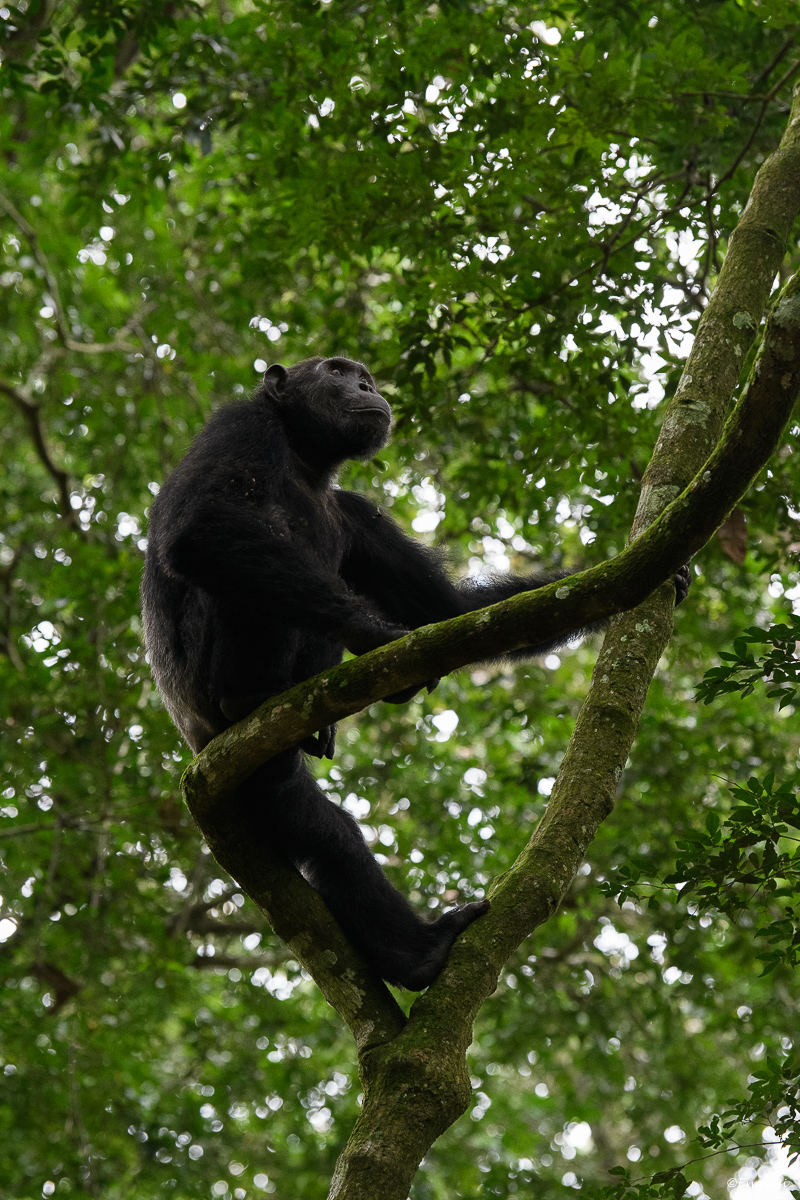 Uganda%201287.jpg
