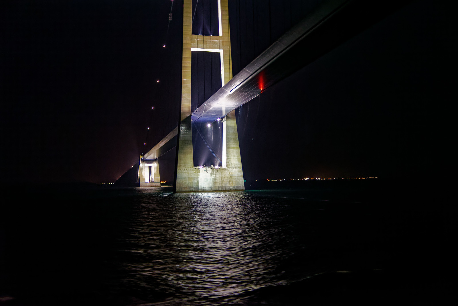 50494555842_6081e739a2_h.jpg