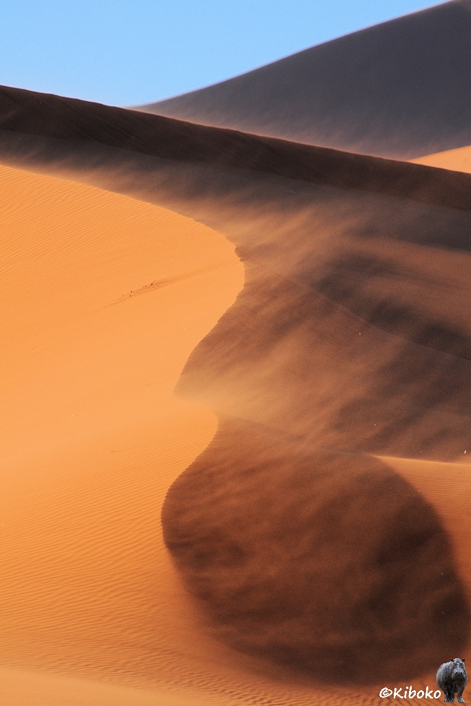 Ein Dünenkamm ich Hochkantformat. Der Wind weht den Sand über den Kamm auf die Schattenseite.