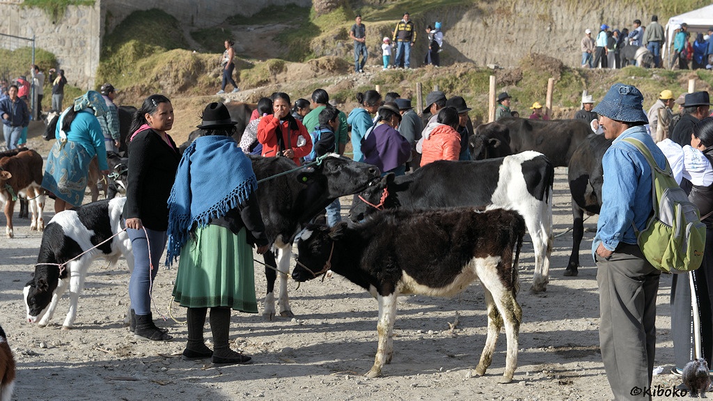 Das Bild zeigt zwei Frauen mit ihren schwarz-weißen Kälbern auf einem staubigen Platz. Am rechten Bildrand steht ein Mann mit Händen in den Hosentaschen und betrachtet die Kälber. Im Hintergrund sind weitere Kälber und Bauern.