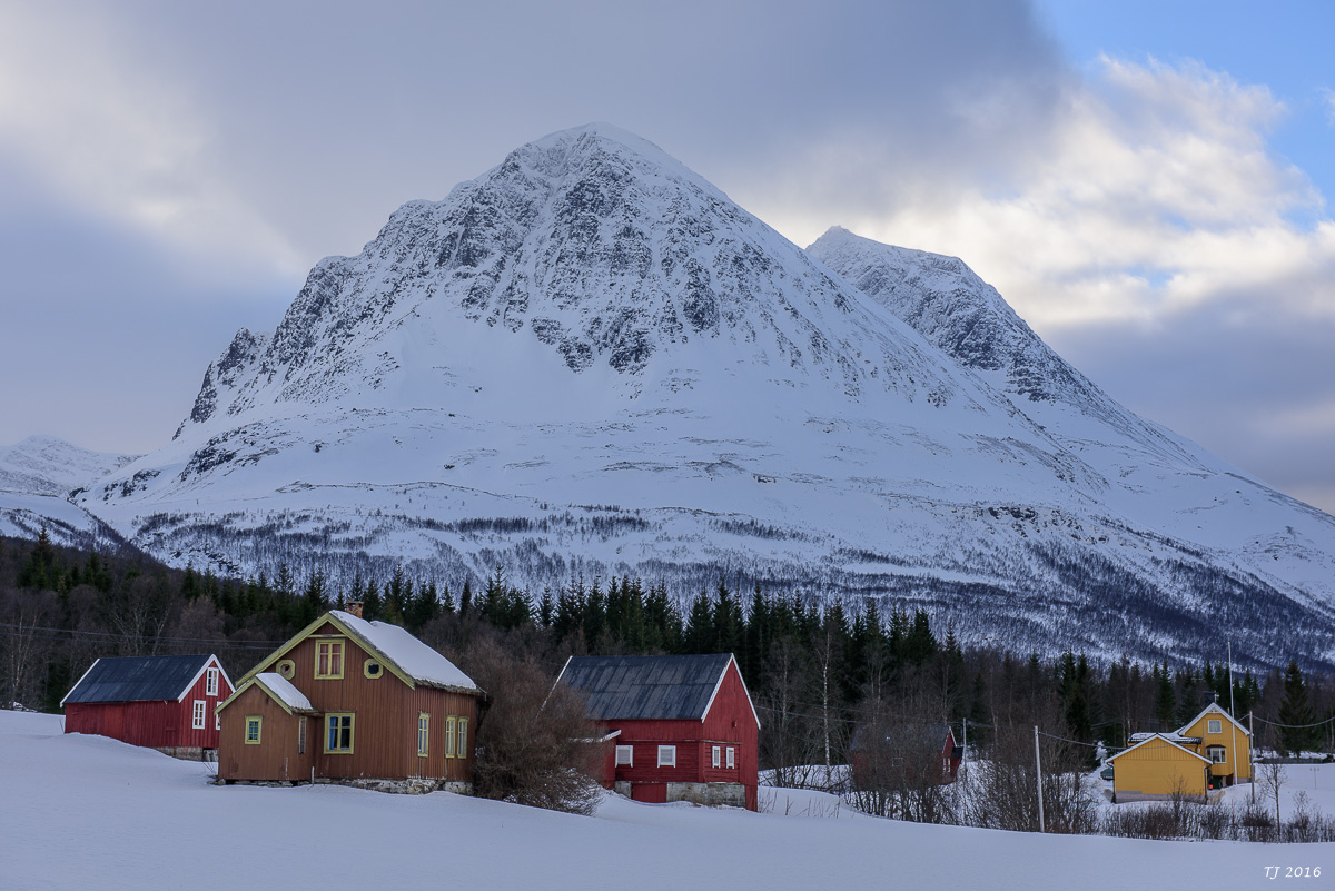 DSC_2469.jpg
