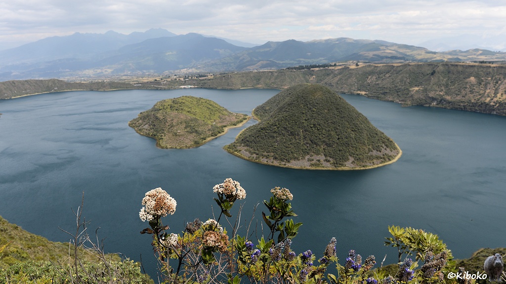 Das Bild zeigt zwei bewaldete Inseln in einem blauen Kratersee. Die Inseln sind nur durch einen schmalen Kanal voneinander getrennt. Im Vordergrund sind weiße und blaue Blumen.