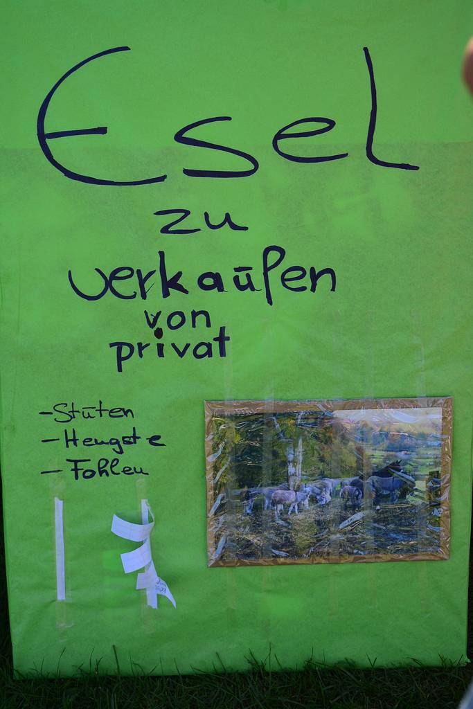 Esel.jpg