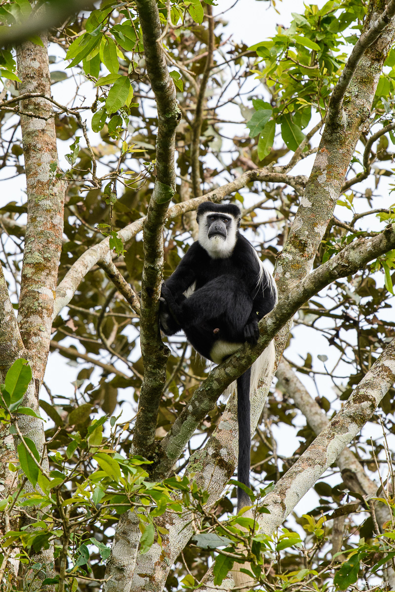 Uganda%200839.jpg