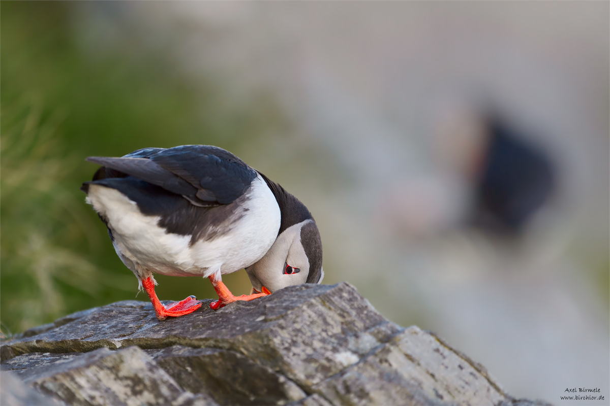 20140514_0820_PS_1200Px.jpg