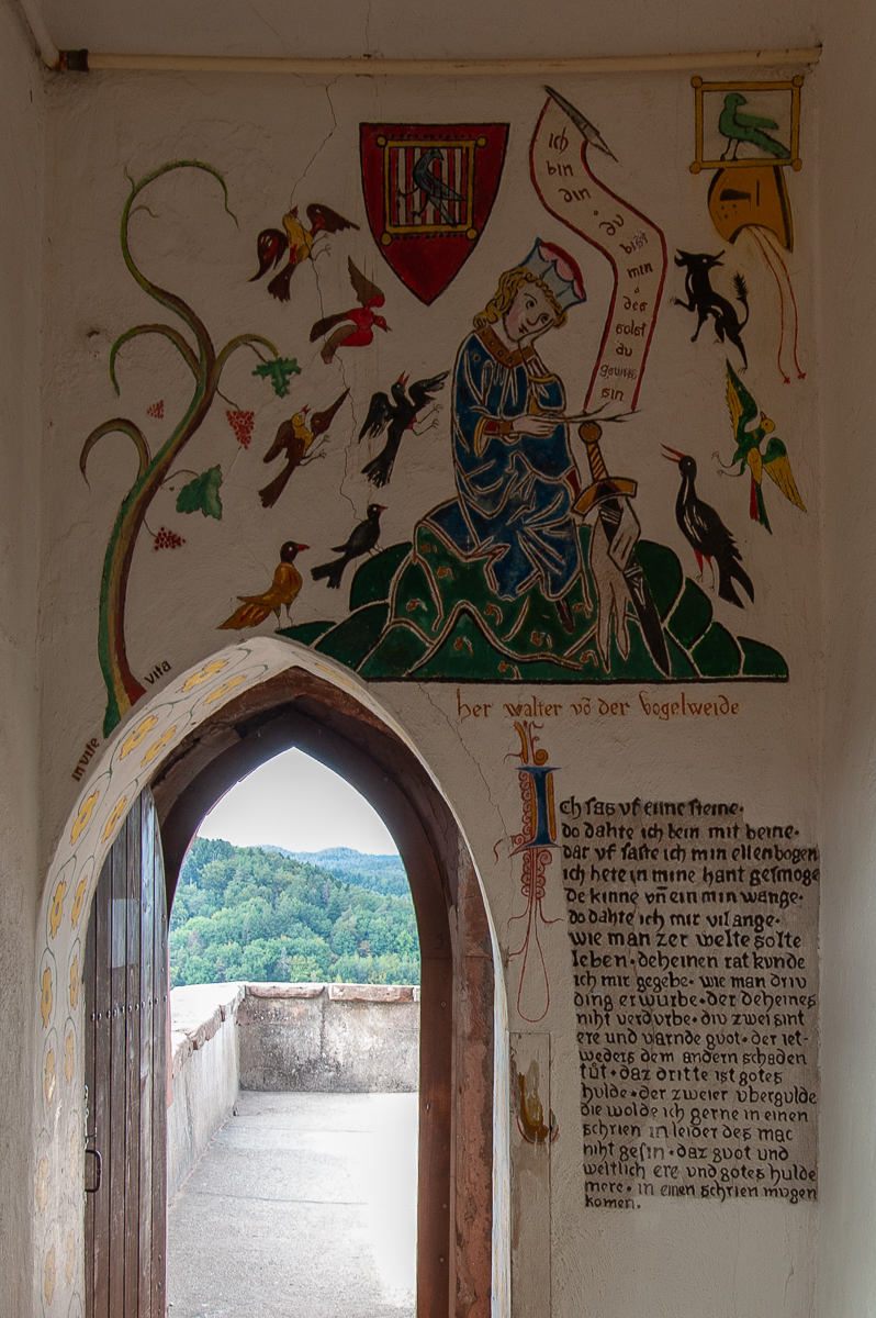 DSE_3870.jpg