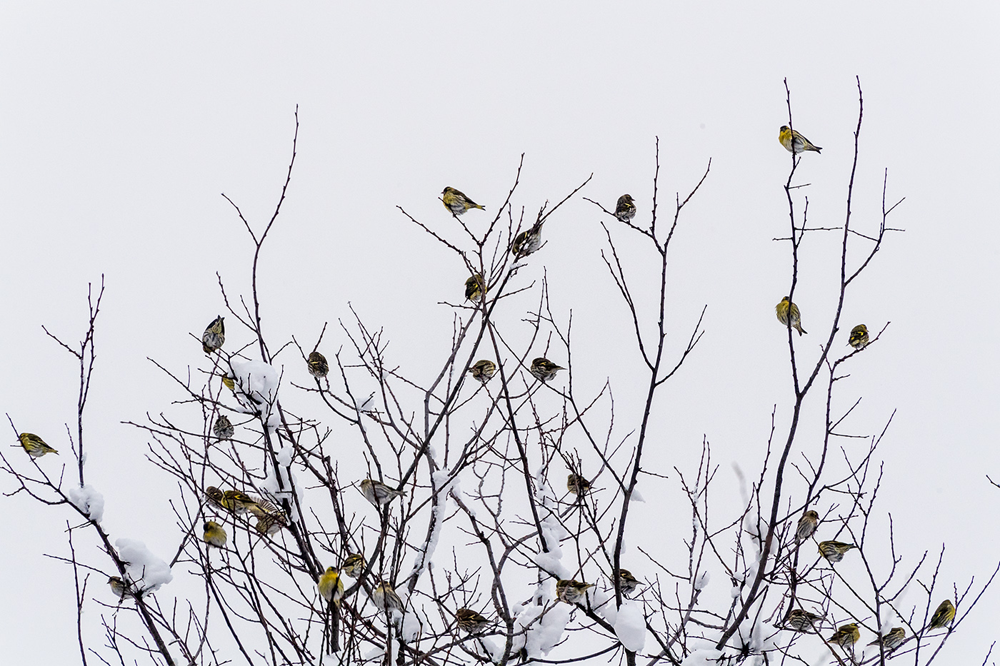 20190110_ND5_0976NF.jpg