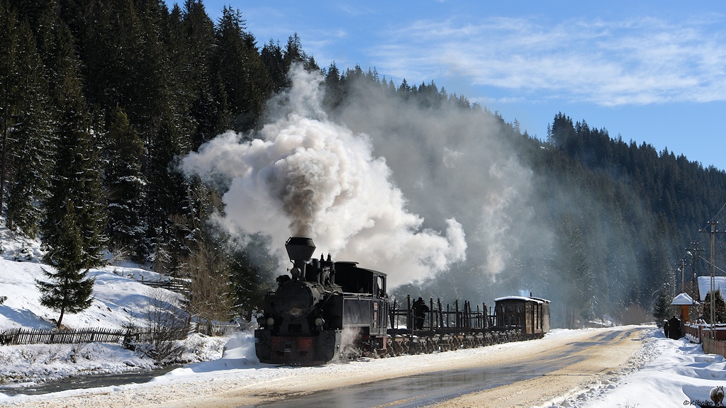 s452_bGuraTimotei_764-404R_5621.jpg