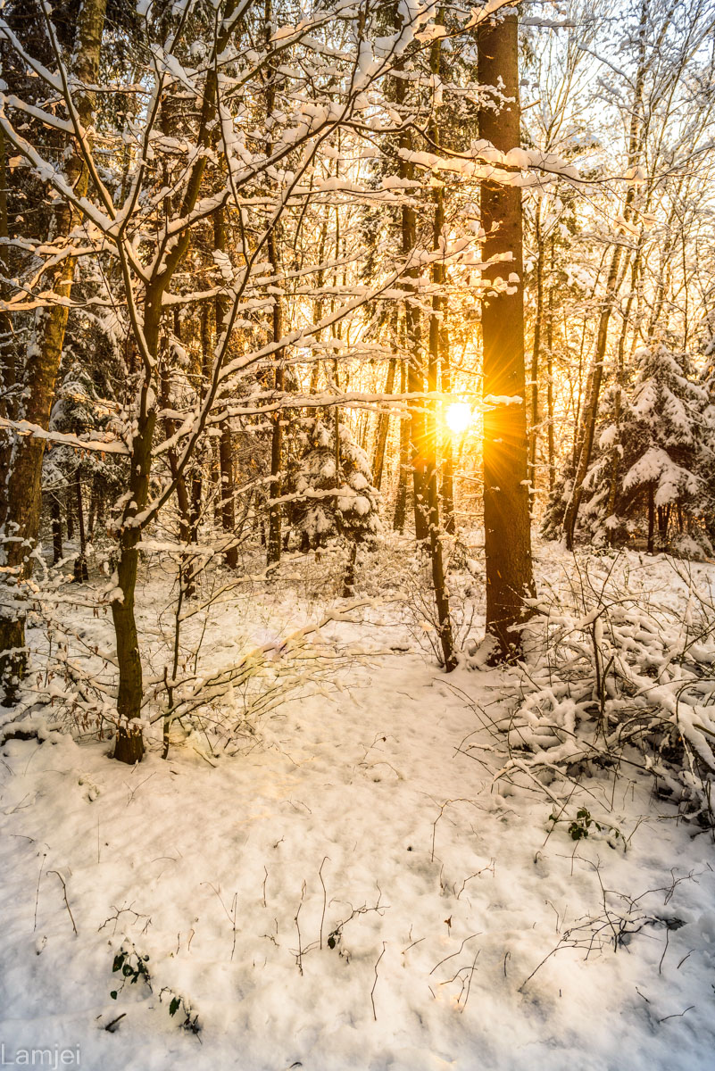 DSC_5116.jpg