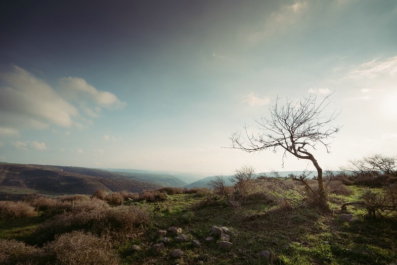 k_Alphaddicted_Israel_von-Sony_55.jpg