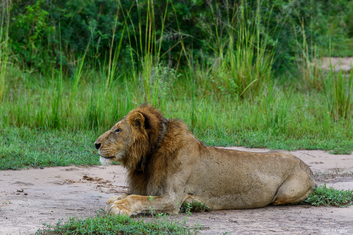 Uganda%200514.jpg