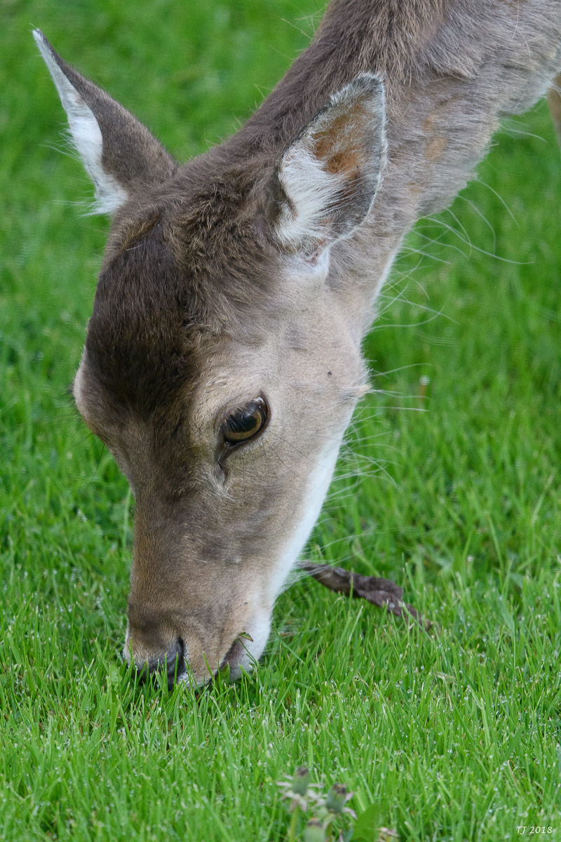 DSC_5040.jpg