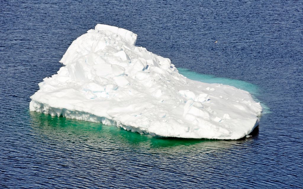 _dsc2945.jpg
